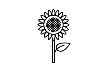 Sunflower line drawing illustration isolated on white background art
