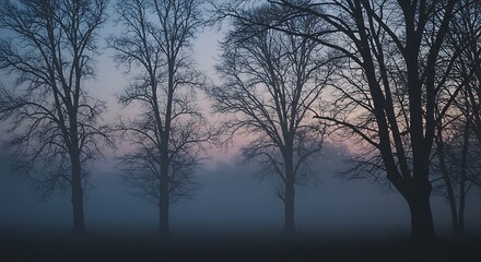 Silhouette of trees in foggy landscape with twilight sky background