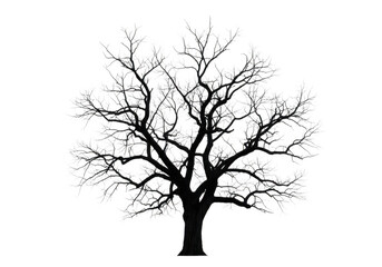 Fototapeta premium Detailed illustration of a deciduous tree with intricate branches and leaves isolated on transparent background