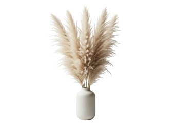 Tall bunch of dried pampas grass in a white vase isolated on transparent background