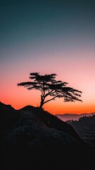 Silhouette tree on hilltop sunrise