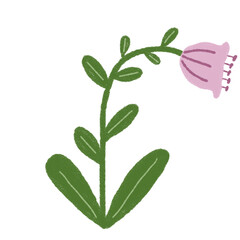 Cute Spring Flowers Illustration Set in Pastel Colors