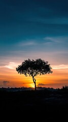 Silhouette of a tree at sunset
