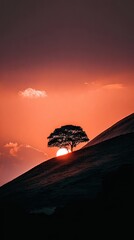 Sunset silhouette tree hill