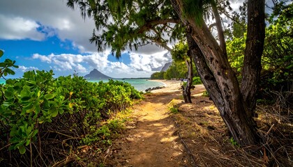 Scenic coastal path leads to beach and mountains under a partly cloudy sky