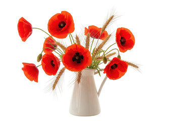 A beautiful bouquet of vibrant red poppies in a white ceramic pitcher isolated on transparent background