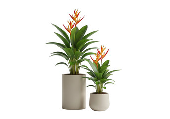 Two tall green potted plants with orange flower spikes isolated on transparent background