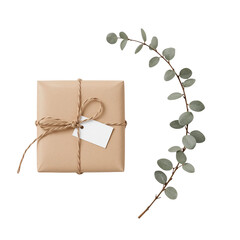 Minimalist Gift Presentation: Brown Paper Package and Eucalyptus Branch on Black Backdrop