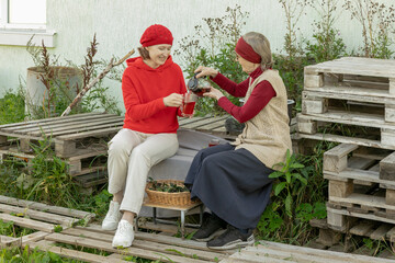 women drink chokeberry tea