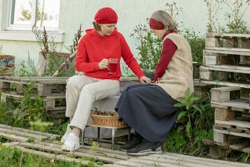 women drink chokeberry tea