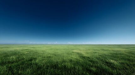 Obraz premium Vast green meadow stretching towards a distant horizon under a clear deep blue sky serene natural landscape perfect for agricultural or environmental themes