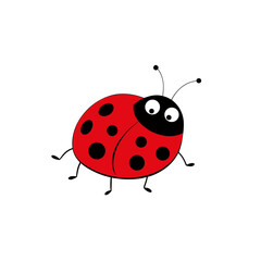 red ladybug with black spots glossy finish on wh