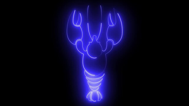 glowing neon Lobster seafood marine animal silhouette icon on black background animation