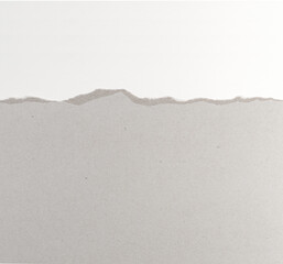 torn grey paper edges isolated with clipping path on light background. torn paper texture, ripped of paper designs and jagged paper edges create a raw, artistic look