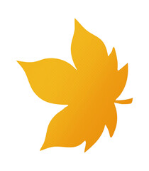 Golden maple leaf isolated on transparent background for autumn graphic resources
