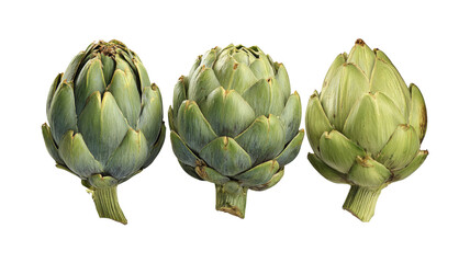 Obraz premium Set of artichokes isolated on a white background