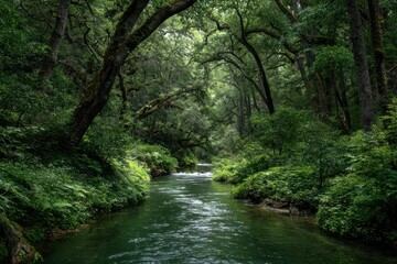 Obraz premium Photo of a peaceful green stream running through the forest trees landscape scenery.
