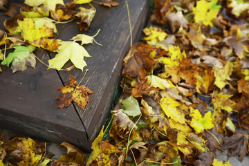 Vibrant Autumn Leaves Scattered on Wooden Deck Corner in Fall Season