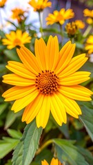 Close-up of a vibrant yellow flower (7)