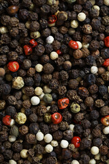 Assorted Peppercorns: Close-Up of Black, Red, White, and Green Spice Mix
