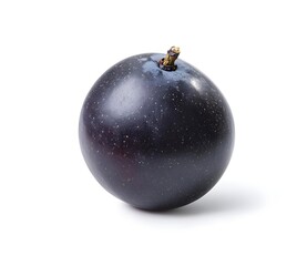 Single Black Plum Isolated on White Background