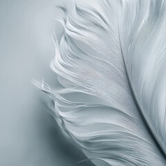 Abstract Macro Close-up of a Soft White Feather with Delicate Wavy Lines and Intricate Texture