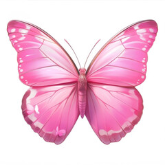 Obraz premium Pink and Black Patterned Butterfly with Detailed Wings against a White Background