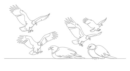 Fototapeta premium Birds in Flight, Wildlife Display, Natural Habitat, Artistic Illustration, Serene Environment, Aerial Perspective, Freedom Concept