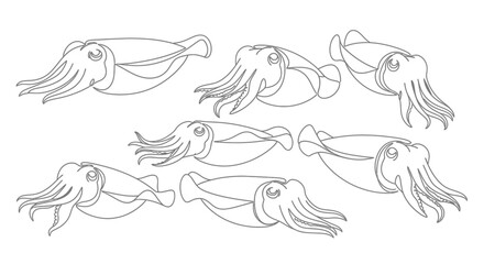 Underwater Illustration Capturing Marine Life's Beauty