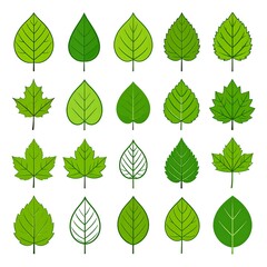 Collection of twenty simple green leaf illustrations, various shapes and sizes, white background