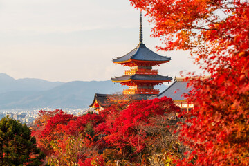 Obraz premium Kiyomizu-dera temple and city view with red autumn leaf, Kyoto