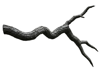 Obraz premium Twisted tree branch isolated