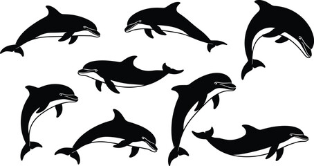 Dolphin silhouette vector illustration, jumping dolphin artwork, marine animal design, ocean wildlife drawing, aquatic mammal collection, sea dolphin outline illustration