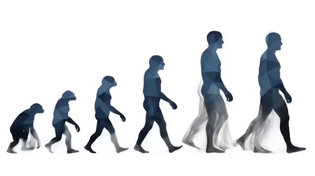 Human Evolution Stages From Ape To Modern Man Silhouette.