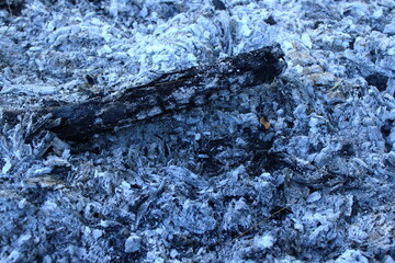 Close up of burnt wood and ashes after fire, showing charred textures and gray residue