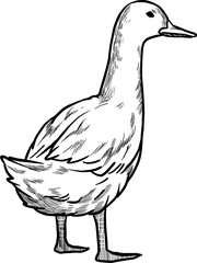 Monochrome Goose Profile Line Drawing Illustration on Transparent Background