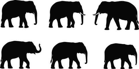 Elephant silhouette, walking elephants, wildlife illustration, animal outline, safari art, nature design, herd movement, exotic mammal, jungle theme, black shape