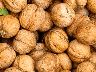 Pile of Walnuts Background Texture Full Frame