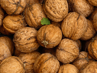 Pile of Walnuts Background Texture Full Frame