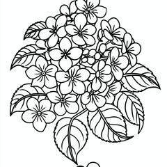 Vector art of hydrangea flower for coloring book page