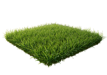 Fresh green grass glistens with morning dew, a vibrant symbol of spring and new beginnings, ready for backgrounds, overlays, and creative designs