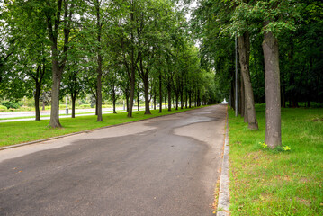 Scenic tree-lined Asphalt Path leading to a Vorobyovy Gory lookout, Moscow, Russia, 9 August 2025