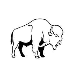 Fototapeta premium American Bison Line Art: Majestic Profile View