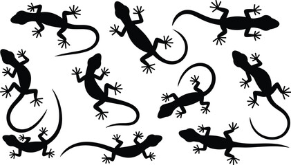 Gecko lizard silhouettes vector collection, reptile animal illustration design, black crawling gecko artwork, exotic lizard outline, wildlife reptile drawing set