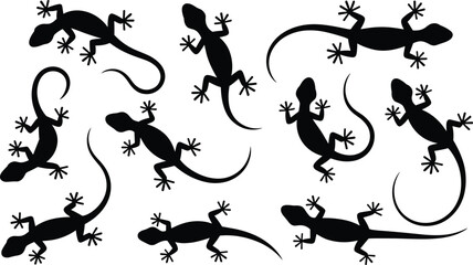 Gecko lizard silhouette vector collection, reptile illustration design, black animal outline, exotic crawling gecko artwork, nature reptile drawing, wildlife icons set