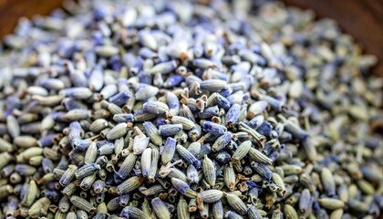 Dried lavender flower heads close-up