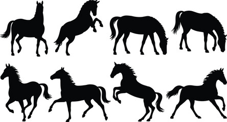 Horse silhouettes, black vector horses, grazing, rearing, walking, standing poses, animal illustration, equine design, farm art, graceful movement, anatomy reference