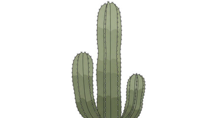 Green Cactus Illustration on White Background Graphic