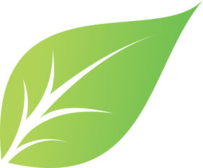 Green leaf organic icon