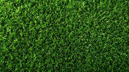 Lush, vibrant green grass creates a textured and visually appealing background, ideal for various design applications.